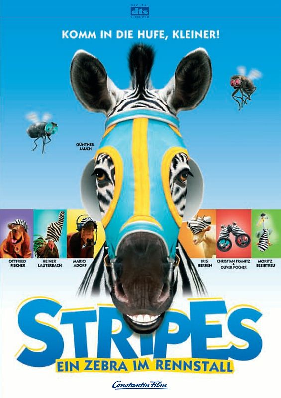 Stripes - Ein Zebra im Rennstall DVD
