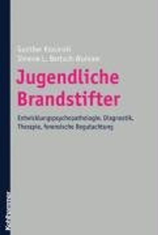 Jugendliche Brandstifter