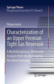 Characterization of an Upper Permian Tight Gas Reservoir
