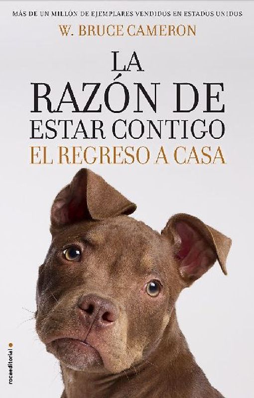 La razón de estar contigo : el regreso a casa