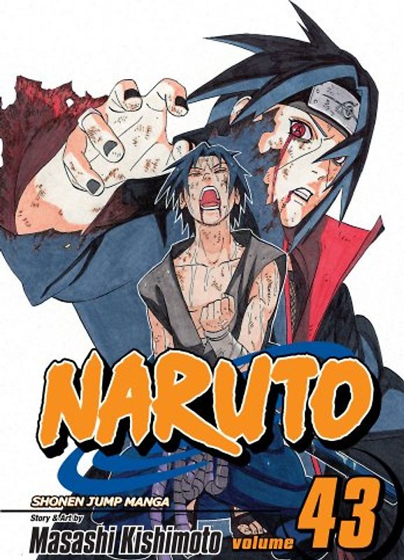 Naruto, Vol. 43: v. 43 - Masashi Kishimoto