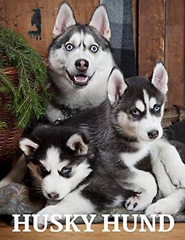 Husky Hund: Das Bilderbuch von Amazing Huskey Dog für Kinder, Alzheimer, Senior mit Demenz.