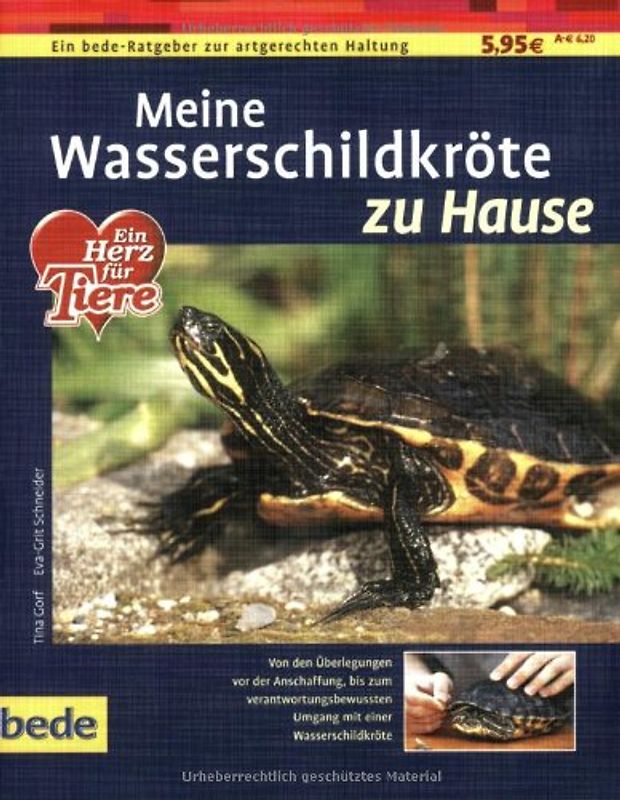 Meine Wasserschildkröte zu Hause