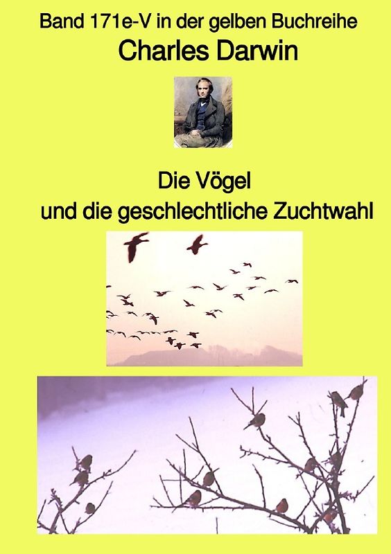 gelbe Buchreihe / Die Vögel und die geschlechtliche Zuchtwahl – Band 171e-V in der gelben Buchreihe bei Jürgen Ruszkowski