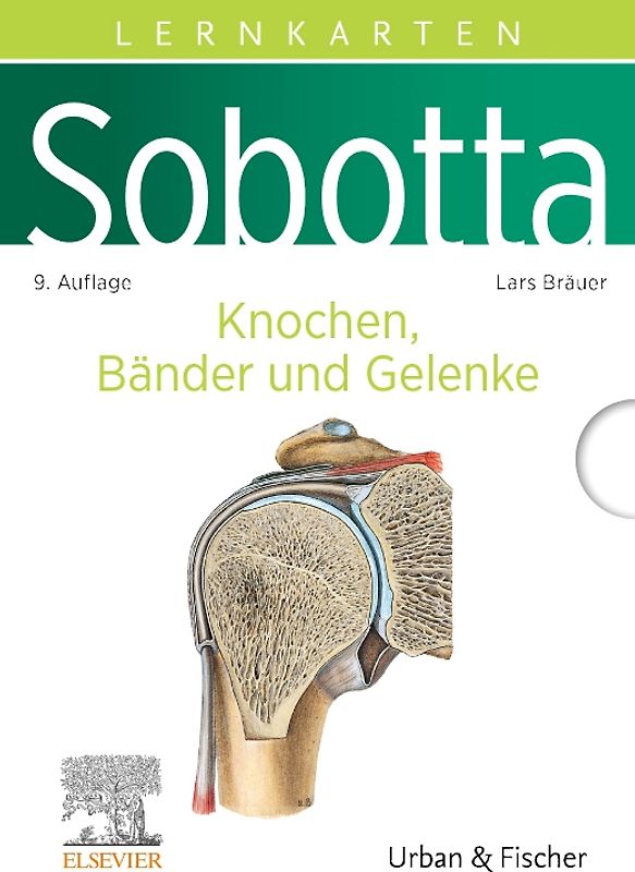 Sobotta Lernkarten Anatomie: Knochen, Bänder und Gelenke