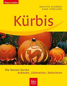 Kürbis
