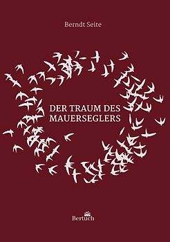 Der Traum des Mauerseglers