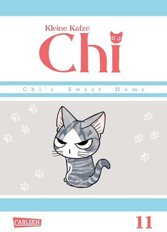 Kleine Katze Chi 11