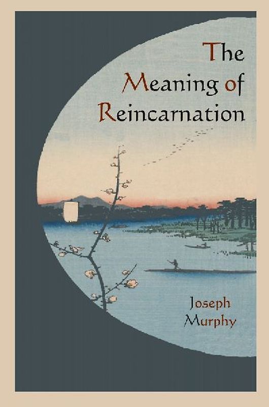 The Meaning of Reincarnation