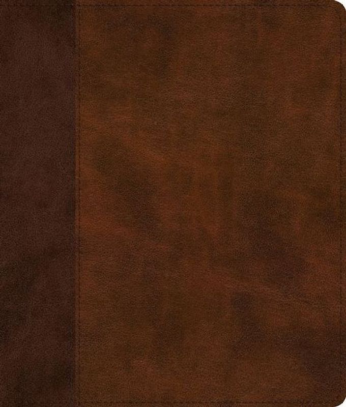 ESV Journaling Bible, Red Letter (Trutone, Brown/Tan, Timeless Design)
