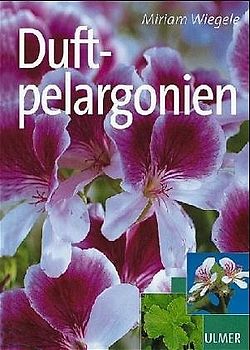 Duftpelargonien
