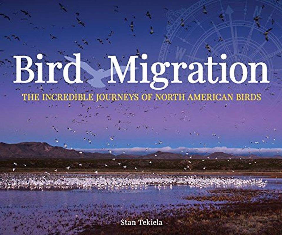 Bird Migration