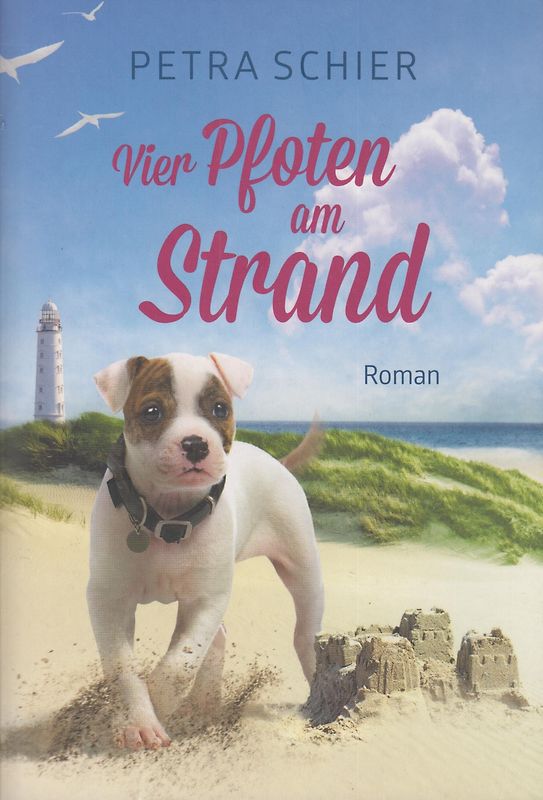 Vier Pfoten am Strand