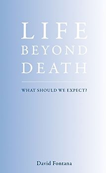 Life Beyond Death: What Should We Expect?