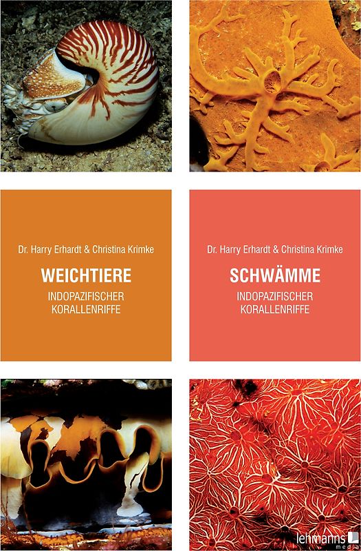 Weichtiere/Schwämme indopazifischer Korallenriffe