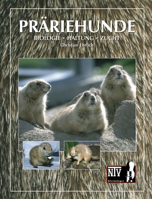 Präriehunde