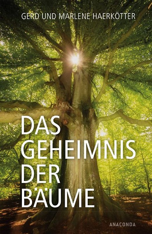 Das Geheimnis der Bäume