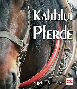 Kaltblutpferde