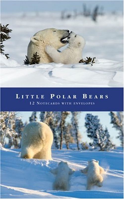 Notecardbox Little Polar Bears