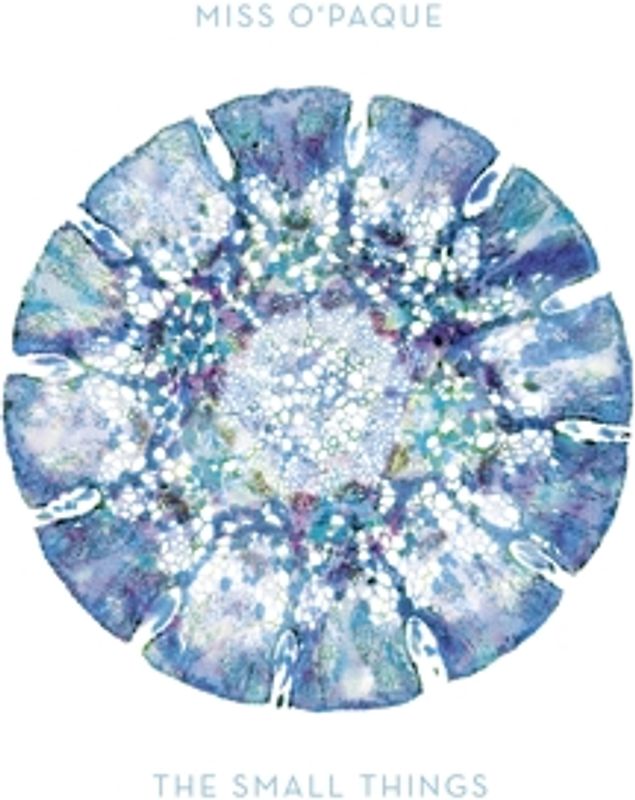 Miss O'Paque - The Small Things