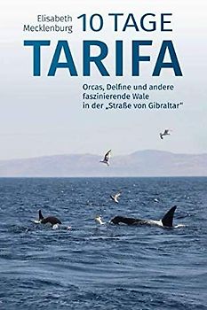 10 Tage Tarifa: Orcas, Delfine und andere faszinierende Wale in der "Straße von Gibraltar"