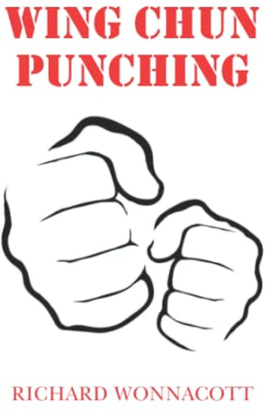 Wing Chun Punching