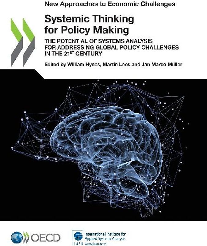 Systemic Thinking for Policy Making