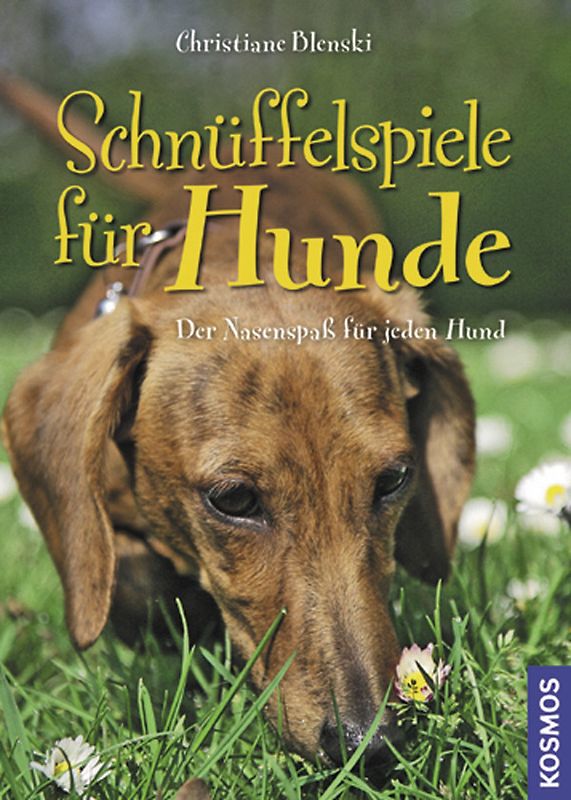 Schnüffelspiele für Hunde