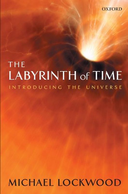 The Labyrinth of Time: Introducing the Universe - Michael Lockwood