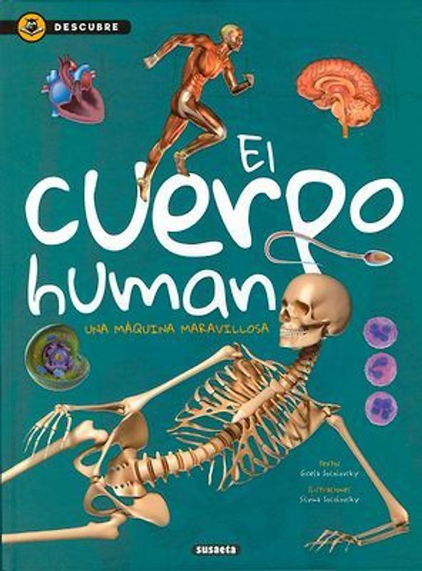 El cuerpo humano