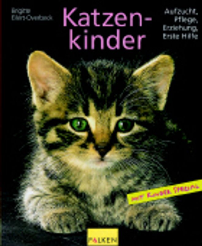 Katzenkinder
