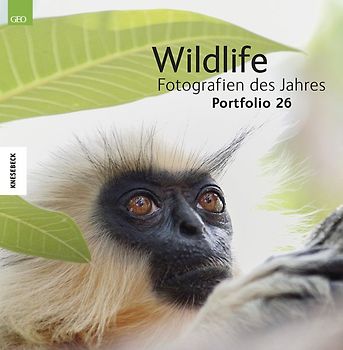 Wildlife Fotografien des Jahres – Portfolio 26