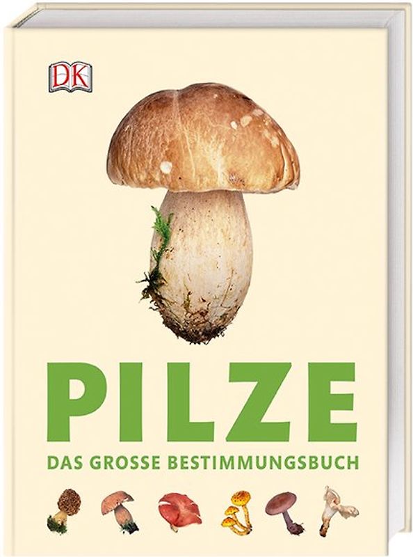 Pilze