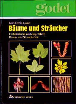 Bäume und Sträucher