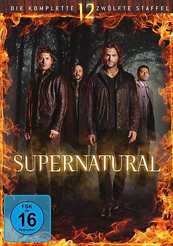 Supernatural - Die komplette zwölfte Staffel [6 DVDs] DVD