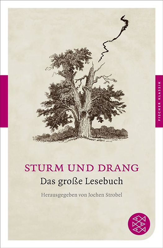 Sturm und Drang