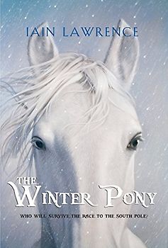 The Winter Pony