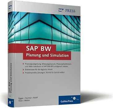 SAP BW – Planung und Simulation