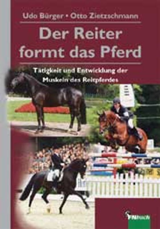 Der Reiter formt das Pferd