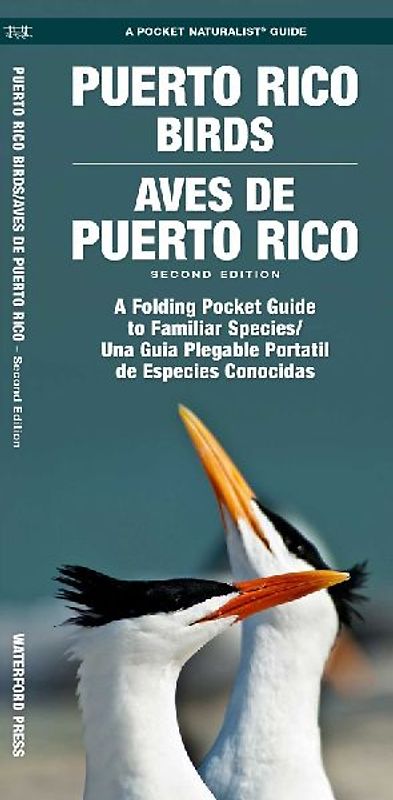 Puerto Rico Birds/Aves de Puerto Rico, 2nd Ed