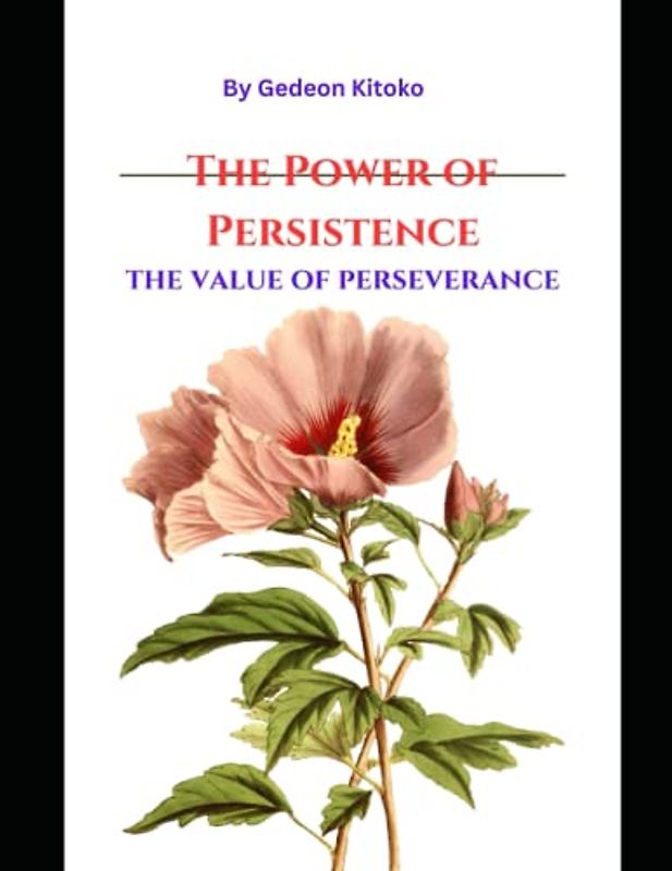 The Power of Persistence: the value of perseverance