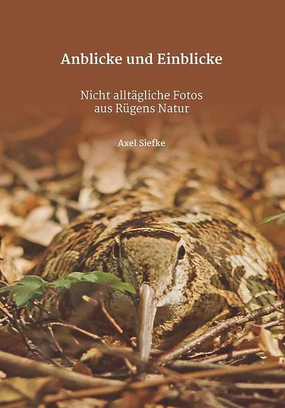 Anblicke und Einblicke