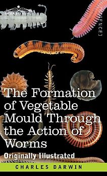 The Formation of Vegetable Mould Through the Action of Worms