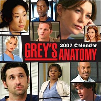 Grey'S Anatomy: 2008 Calendar