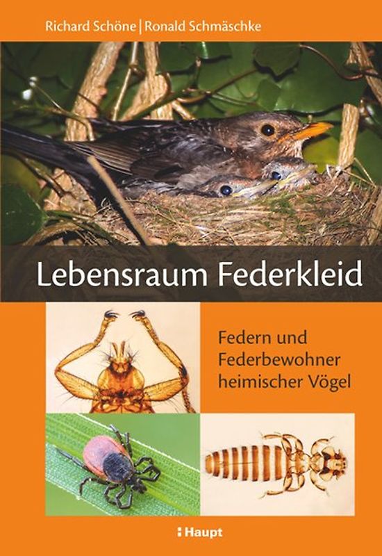 Lebensraum Federkleid
