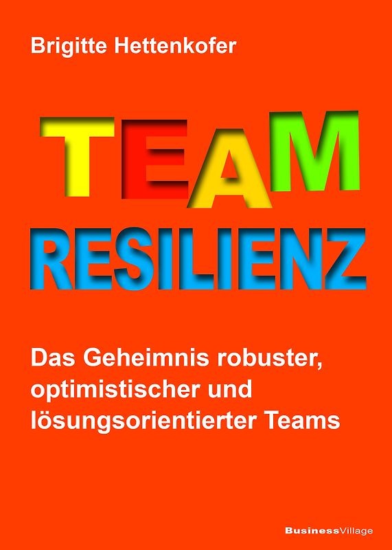 Team-Resilienz