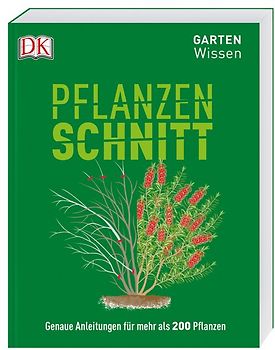 Gartenwissen Pflanzenschnitt