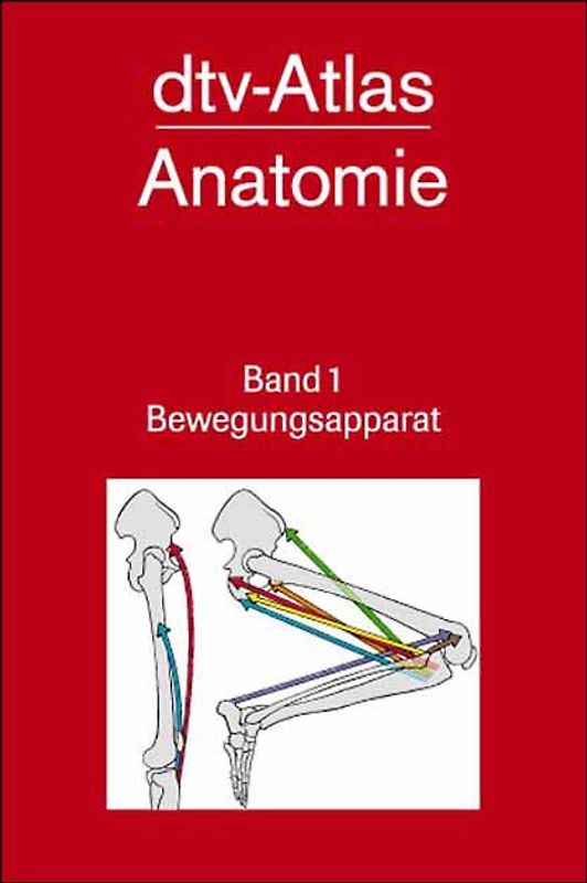 dtv-Atlas Anatomie / Bewegungsapparat