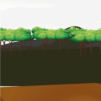 The Adventures of Shelby and Bailey :The Pet Adoption Predicament