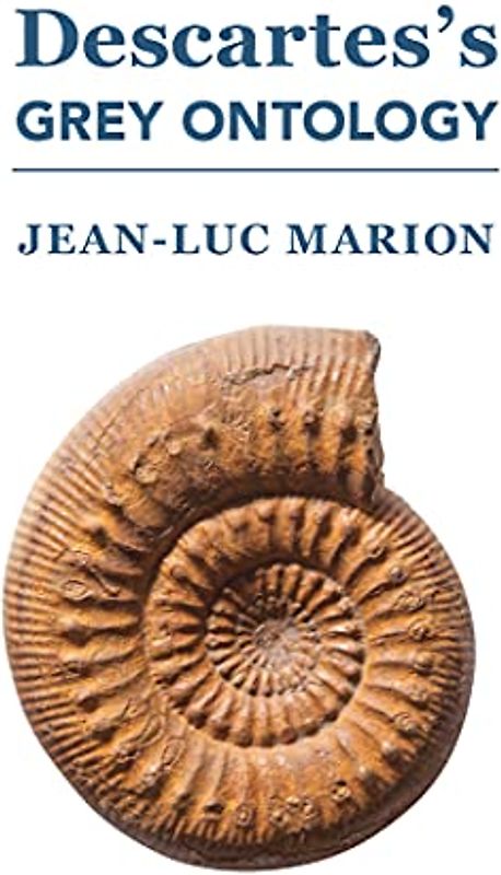 Descartes's Grey Ontology